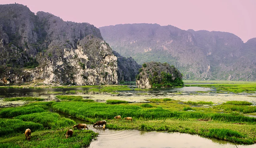 Travel to visit Vietnam in January