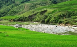 Sapa - Ta Van Village